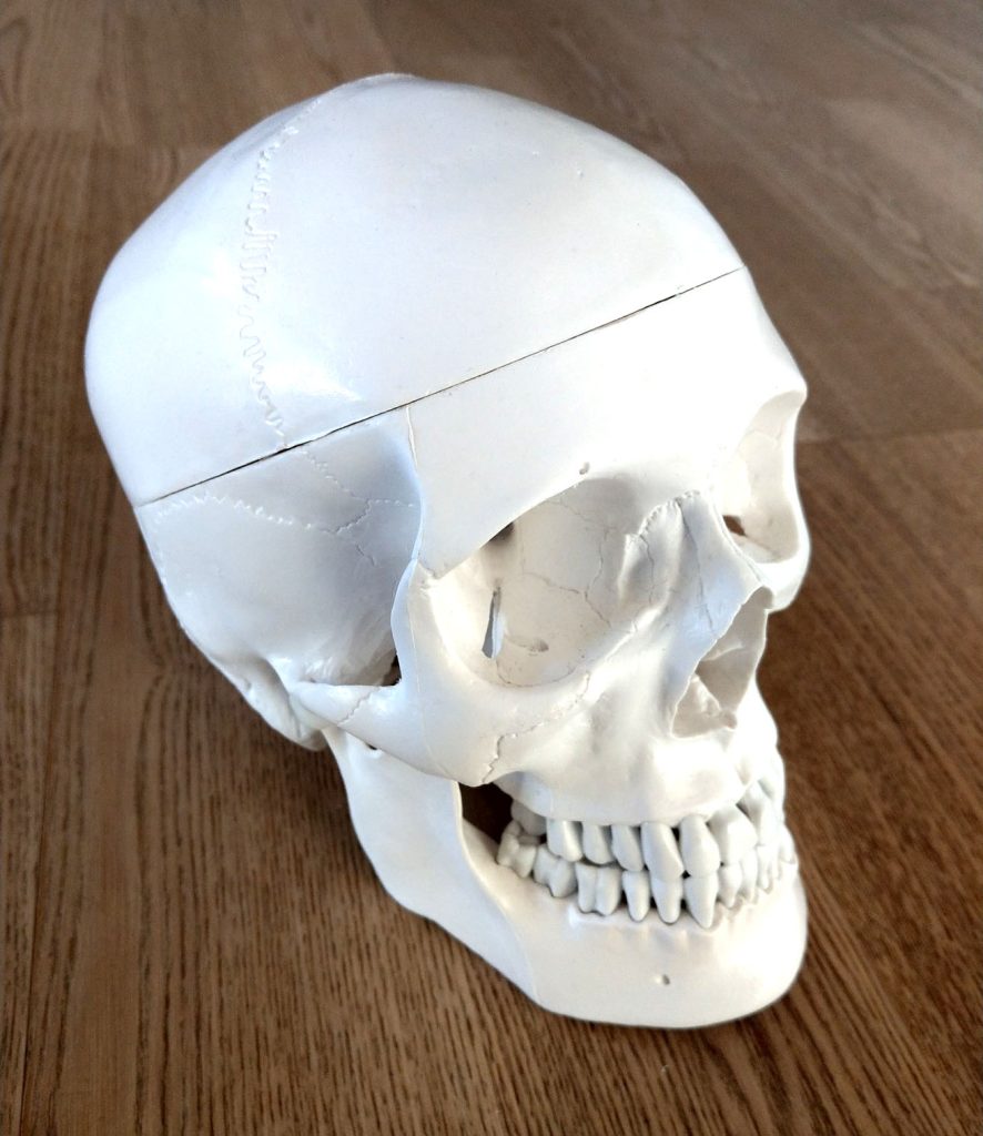 Kranio Sakral Terapi